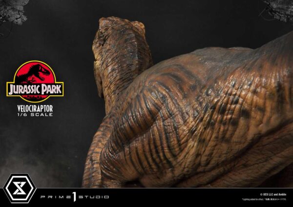 Jurassic Park - Velociraptor Attack Edition 1:6 (Prime 1 Studio) - Image 35